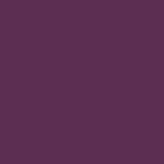 Purple climbing holds
